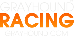 Grayhound Racing at Grayhound.com